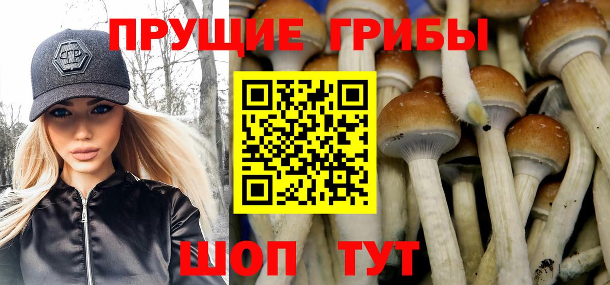 Псилоцибиновые грибы мицелий  Вход с VPN  Челябинск 