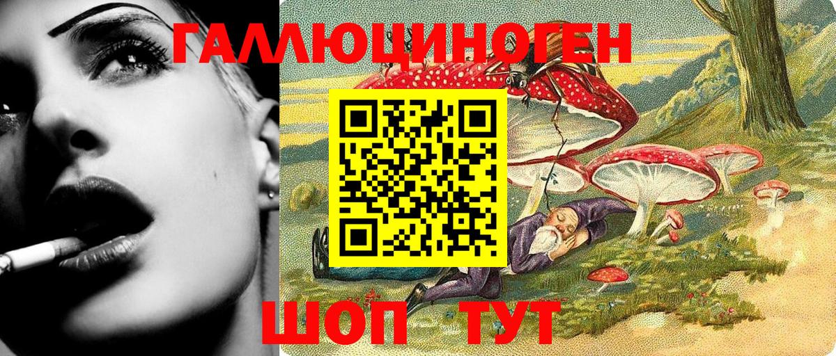 Галлюциногенные грибы Psilocybe Челябинск